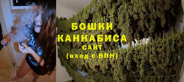 дмт Кинешма