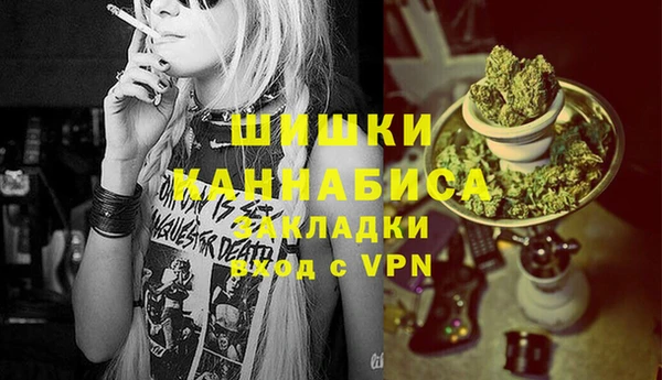 дмт Кинешма