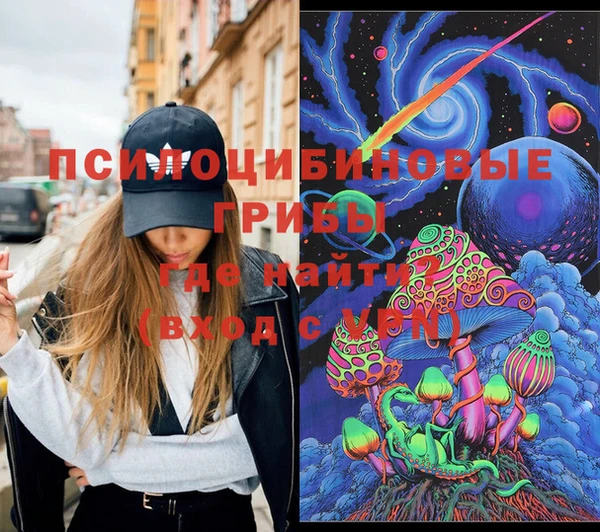 дмт Кинешма