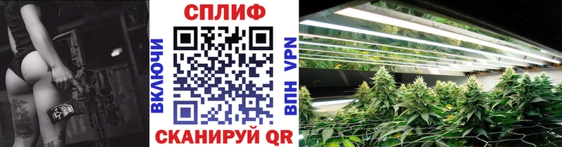 Конопля Amnesia  Купить где  Ейск 